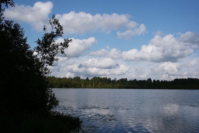 Экологическая акция состоится на озере Светлояр в Воскресенском районе