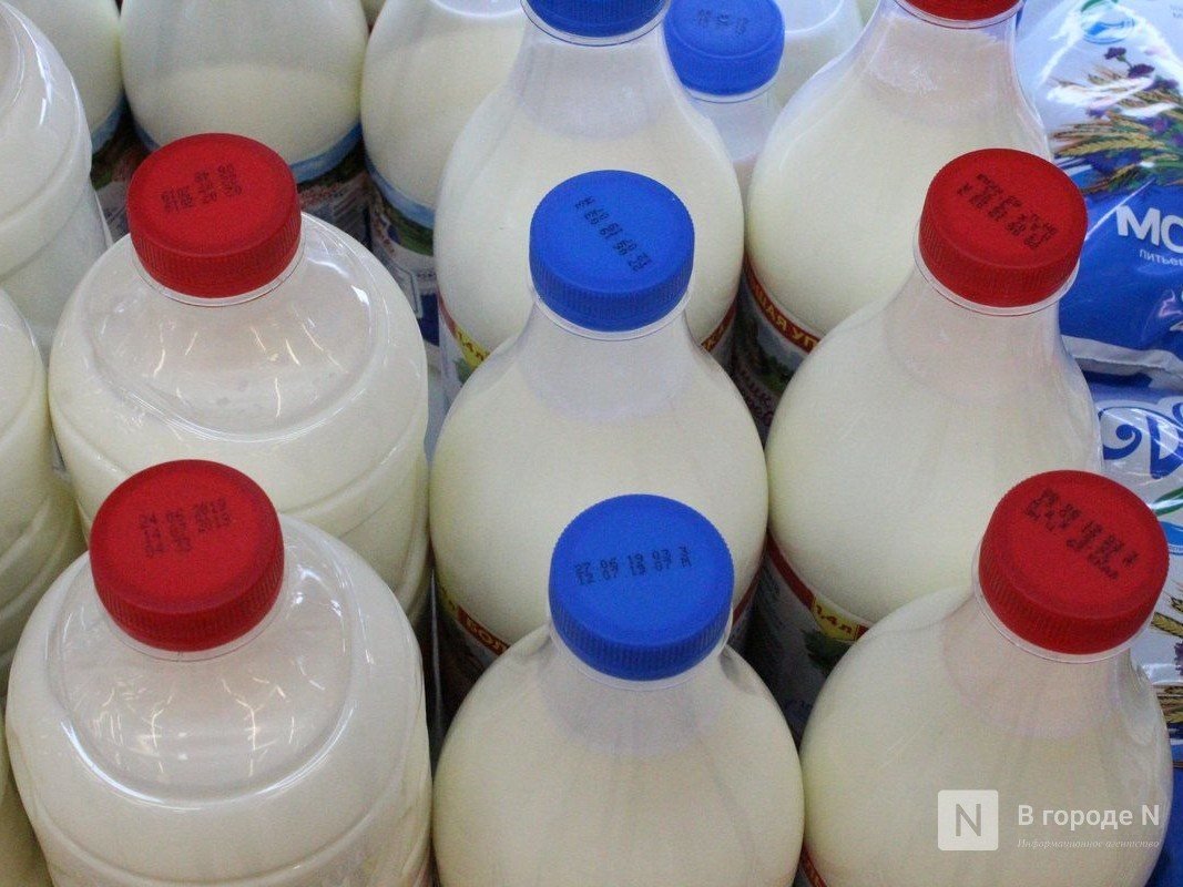 Нижегородская область заняла четвертое место в ПФО по производству молока - фото 1