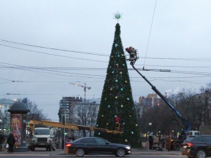 Площадь Горького украсила новогодняя елка