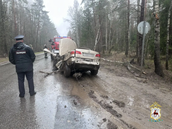 Опубликованы фото с места ДТП в Нижегородской области, где погибли три человека - фото 4