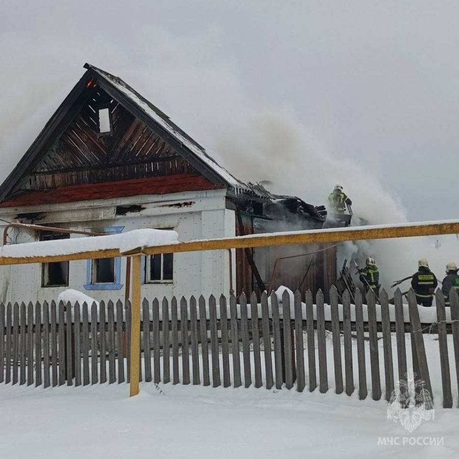 Пенсионер погиб на пожаре в Нижегородской области - фото 1