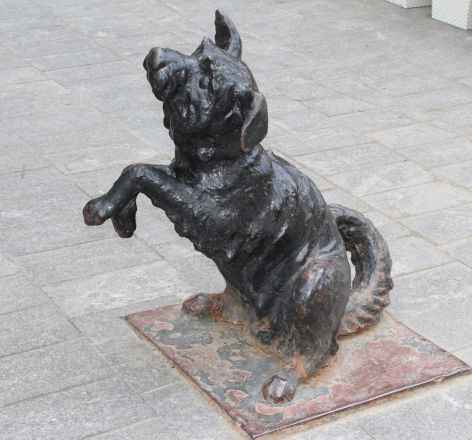 Скульптура собачки вернулась на Большую Покровскую (ФОТО) - фото 2