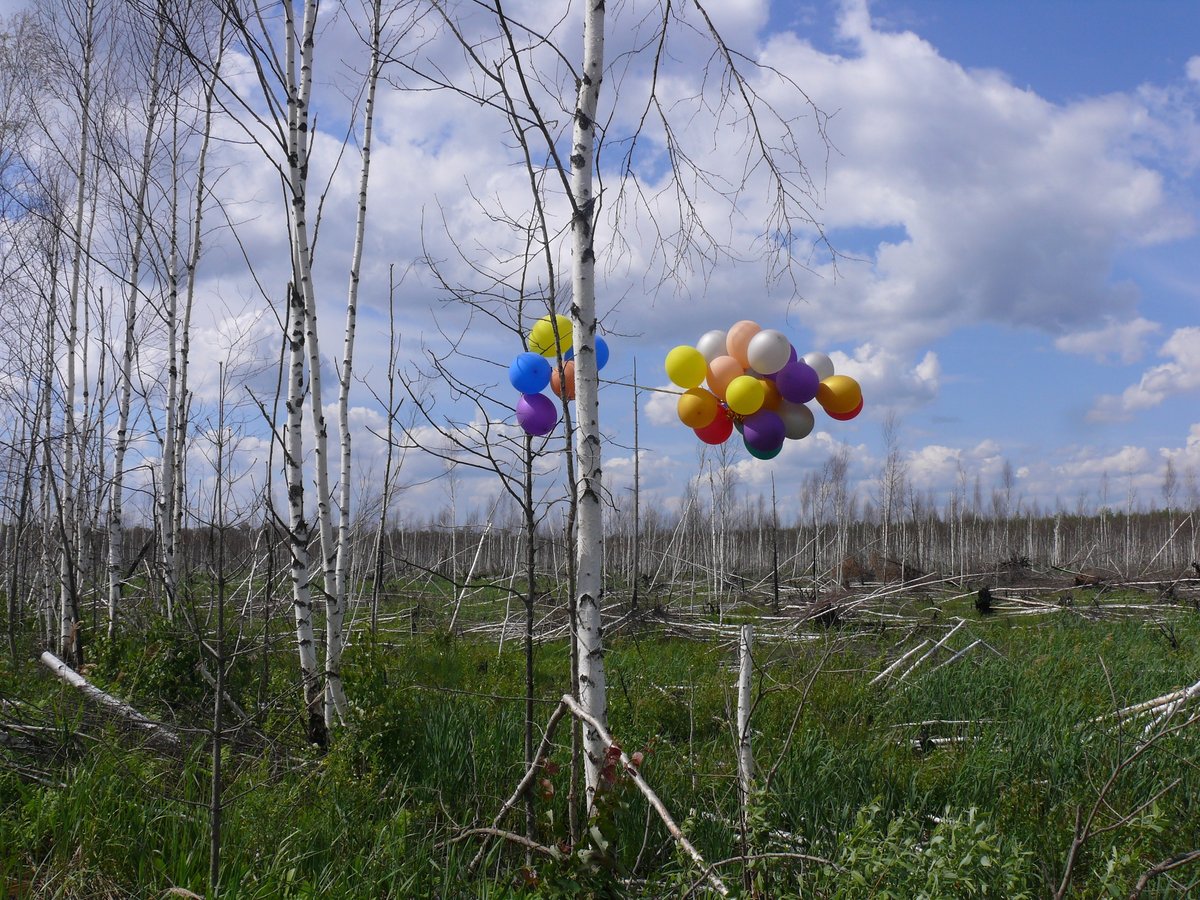 Нижегородцев просят не запускать в небо шары ради Керженского заповедника - фото 1