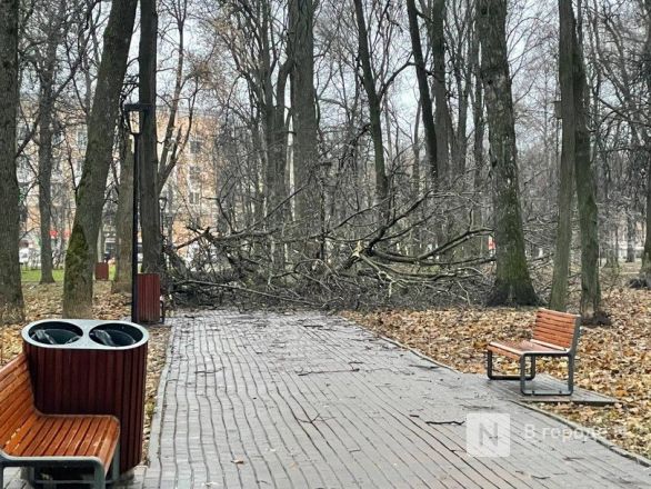 Ураган повалил деревья и заборы в Нижнем Новгороде: публикуем фото - фото 7