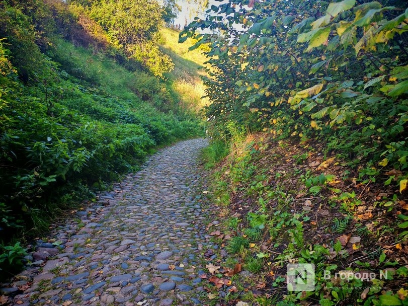 Город с открытки: почему Плес привлекает туристов и стоит ли вообще туда ехать - фото 24