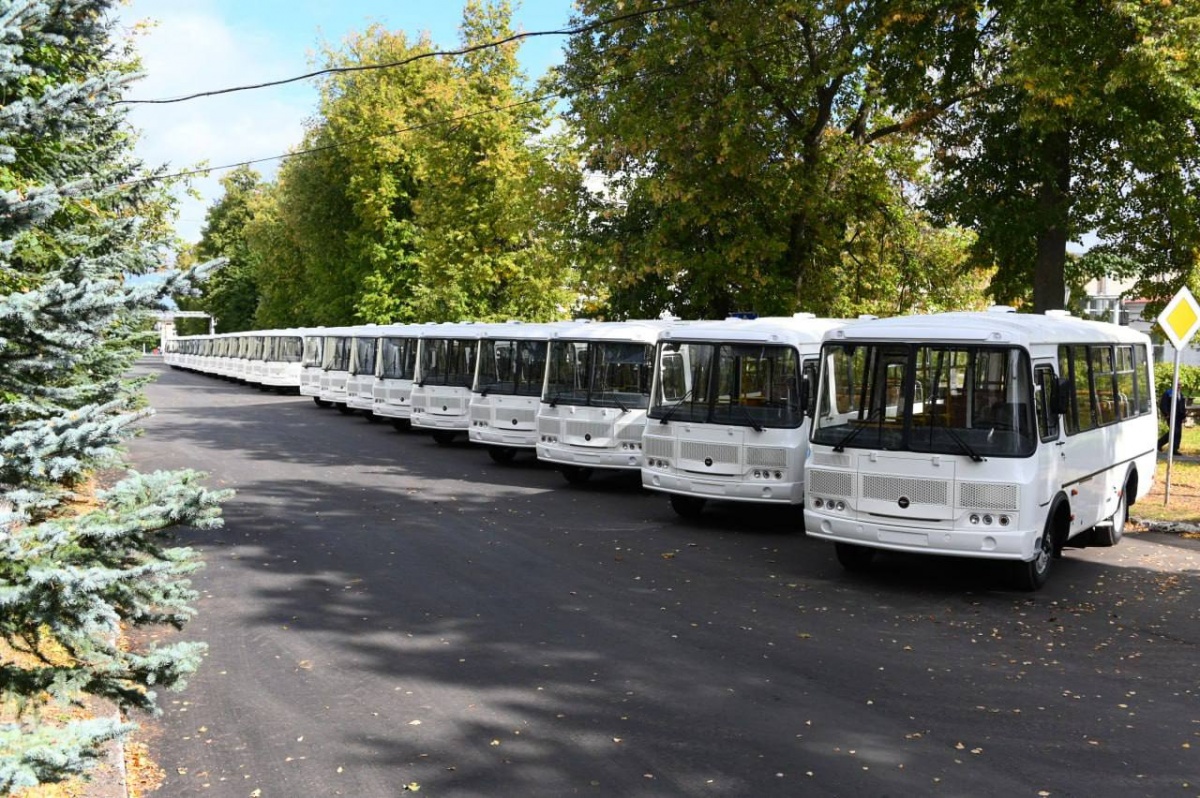 Партию из 24 новых автобусов отправят в Богородск, Городец и Арзамас - фото 1