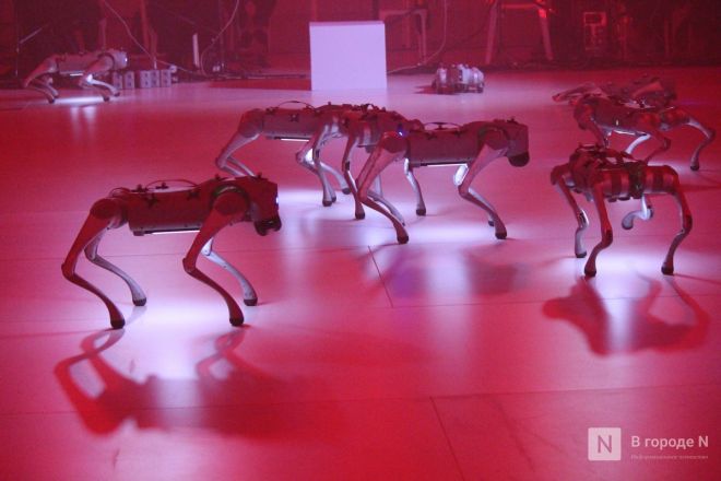 Просто вау: фоторепортаж со всех локаций INTERVALS &mdash; 2025 в Нижнем Новгороде - фото 5