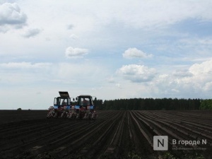 Площади посева сельхозкультур сократились в Нижегородской области