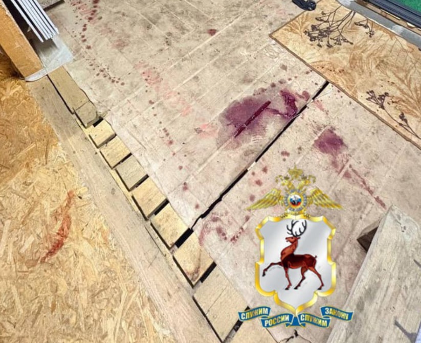 Нижегородца арестовали за убийство знакомого кухонным ножом - фото 1