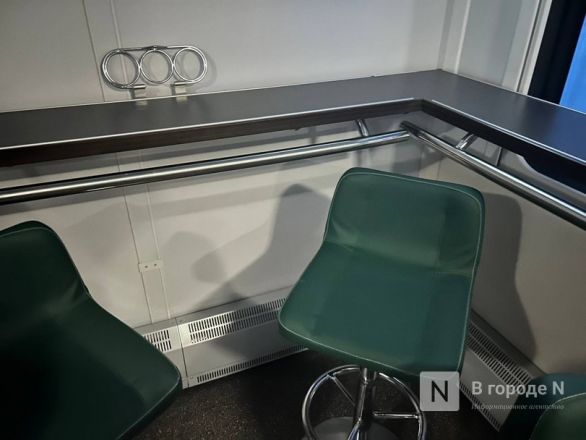 Нижегородка честно рассказала о поездке на двухэтажном &laquo;Буревестнике&raquo;  - фото 16