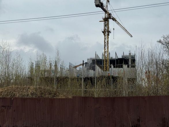 Десятилетний долгострой на улице Гончарова сносят в Нижнем Новгороде - фото 3