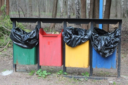 Раздельный сбор мусора предложено ввести в нижегородских школах