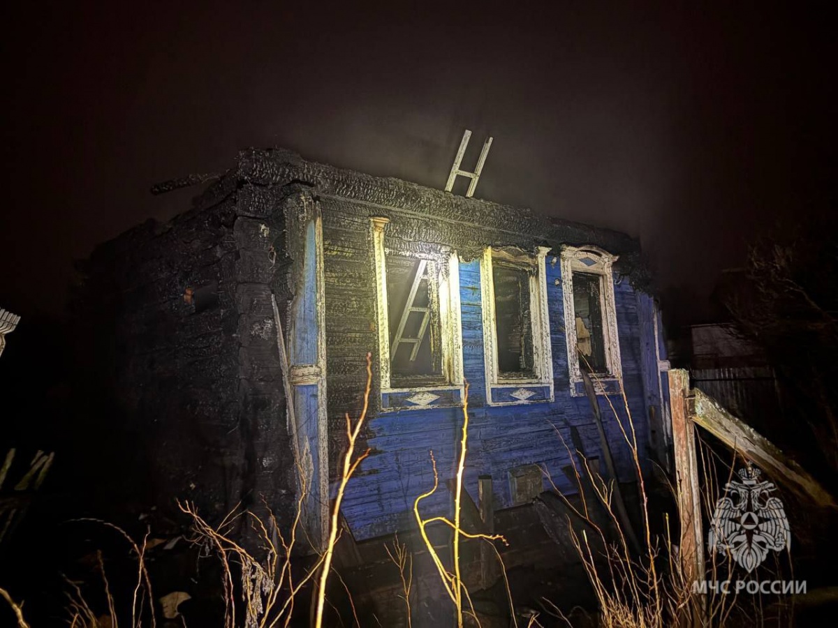 Тело неизвестной женщины нашли на месте мощного пожара в Нижегородской области - фото 1