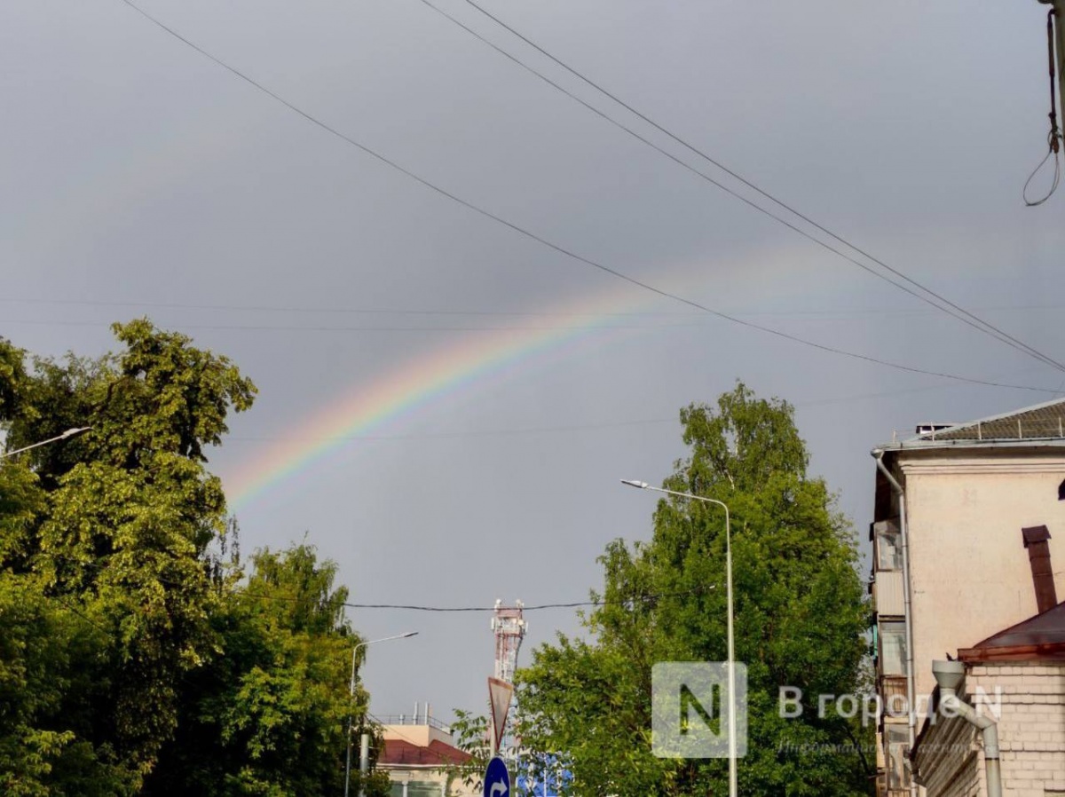 Опубликован прогноз погоды на первую неделю июля в Нижнем Новгороде - фото 1