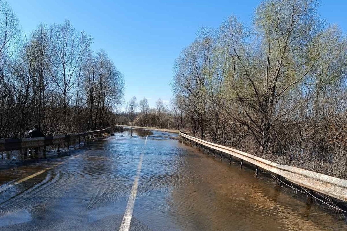 Мост затопило в Павловском округе - фото 1
