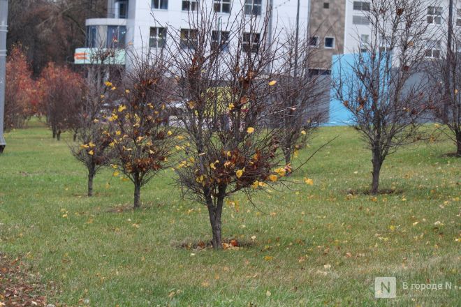 Фоторепортаж: как выглядит и чем поражает квартал 1833 года в Нижнем Новгороде - фото 58