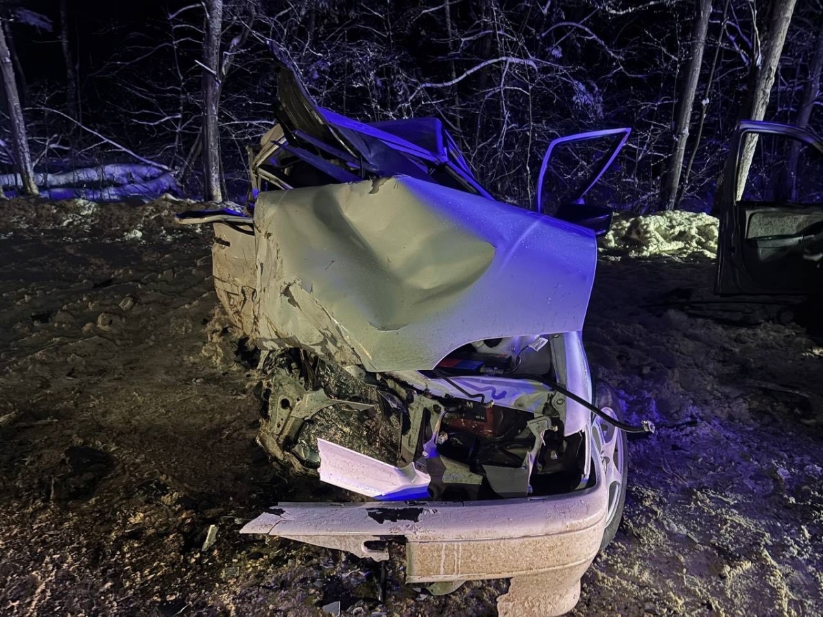 Опубликованы фото с места ДТП с погибшими в Нижегородской области - фото 1