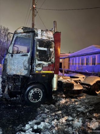 Мужчина погиб после возгорания фуры в Нижегородской области - фото 4