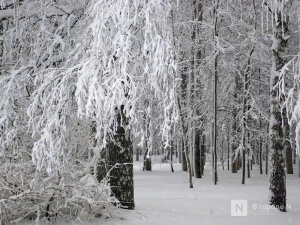 Метель и сильные снегопады надвигаются на Нижегородскую область