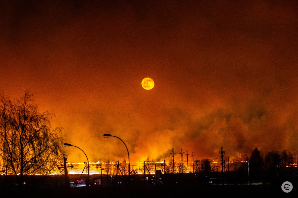 Сухая трава на 17 га загорелась в Дивеевском районе - фото 1