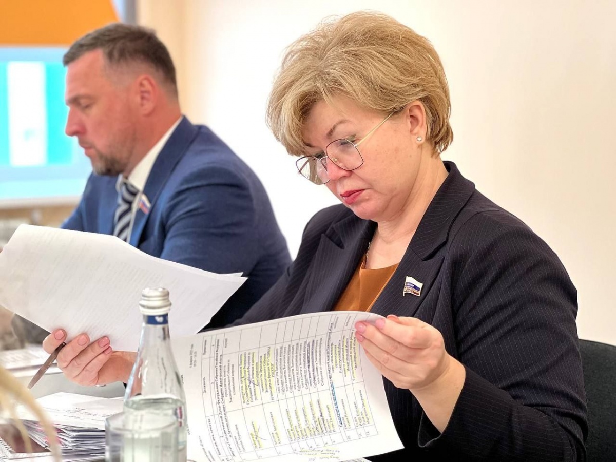 Депутаты предложили меры по улучшению рождаемости в Навашинском округе - фото 1