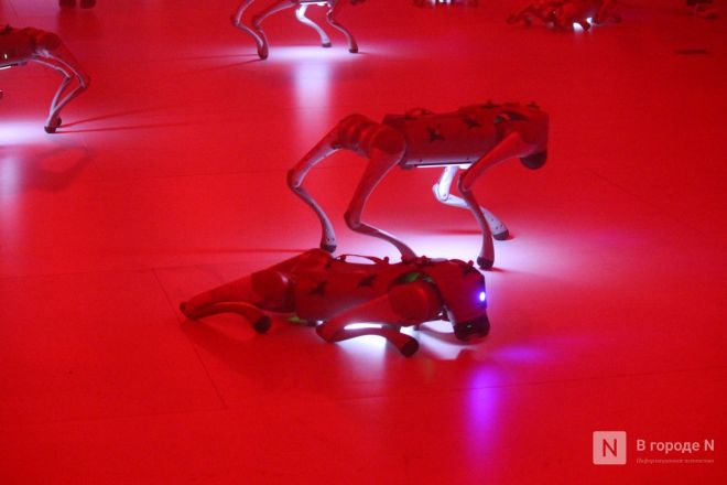Просто вау: фоторепортаж со всех локаций INTERVALS &mdash; 2025 в Нижнем Новгороде - фото 6