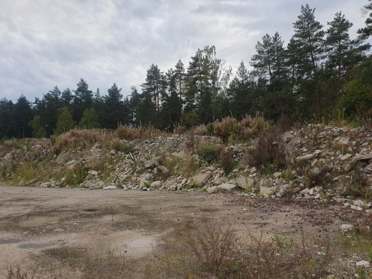 Опубликованы фото заброшенной стройплощадки &laquo;Школы 800&raquo; на Бору - фото 1