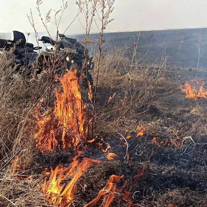 25 га сухой травы сгорело в Павловском районе - фото 1