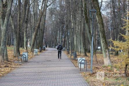 Видеобналюдение установят в нижегородском парке Кулибина в 2023 году
