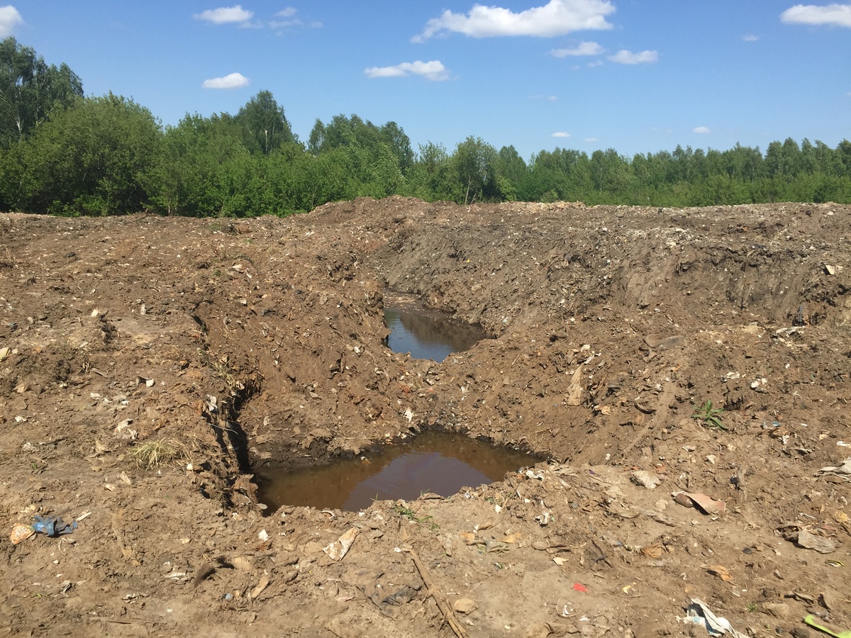 Проект ликвидации свалки в районе «Игумново» в Дзержинске разработают за 7,6 млн рублей