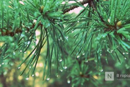 Похолодание до -1&deg;С и дождь со снегом ожидаются в Нижнем Новгороде