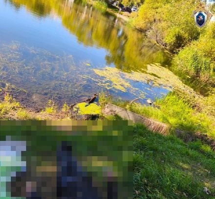 Проверка начата из-за гибели мужчины в нижегородском озере - фото 1