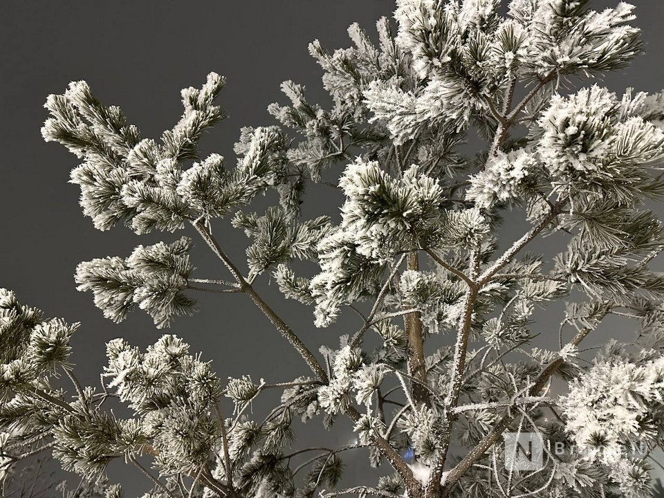 Заморозки до -4&deg;С надвигаются на Нижегородскую область - фото 1