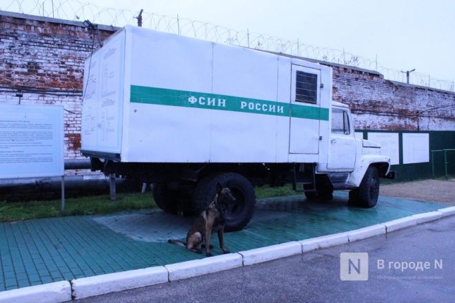 Четвероногие коллеги: как проходят будни нижегородских служебных собак - фото 29