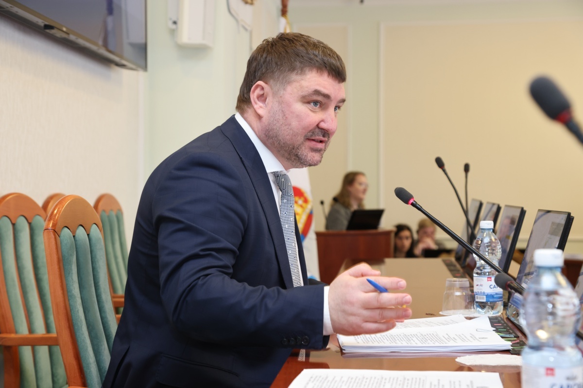 Атмахов призвал нижегородцев не паниковать из-за стройки школы на Бору - фото 1