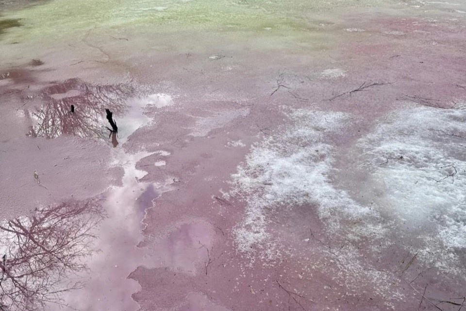Цветной лед обнаружили рыбаки на озере в Дзержинске - фото 1