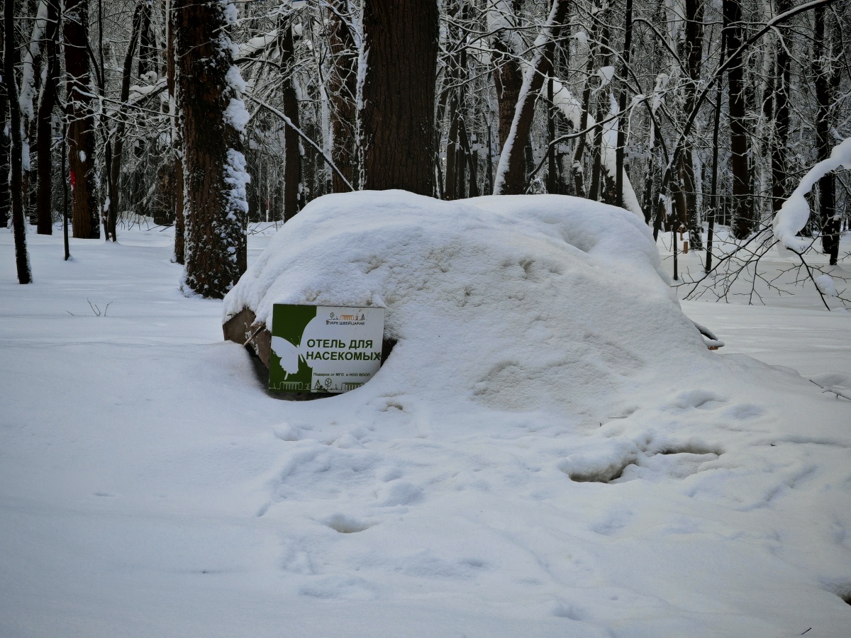 Аномальные морозы в Нижнем Новгороде: фоторепортаж из заснеженных парков - фото 13