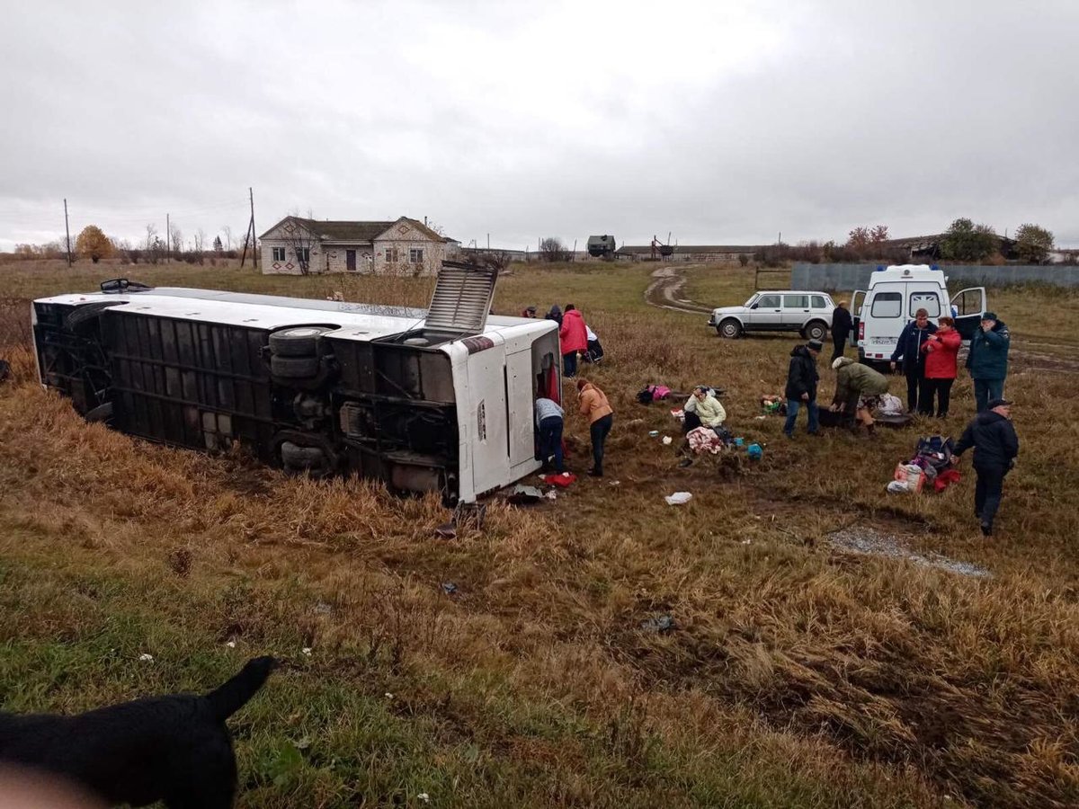 Автобус с туристами вылетел с трассы в Гагинском районе: 20 человек пострадали