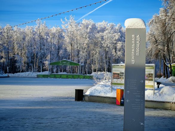 Аномальные морозы в Нижнем Новгороде: фоторепортаж из заснеженных парков - фото 2