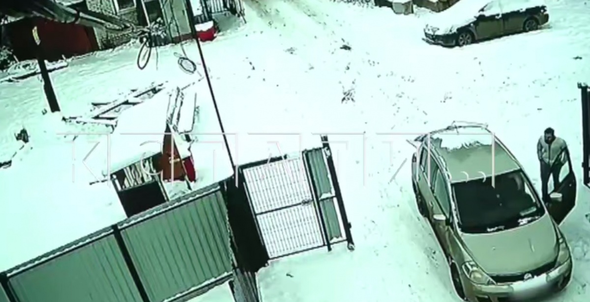 «Большой начальник» с травматом избил садоводов в Нижнем Новгороде - фото 1