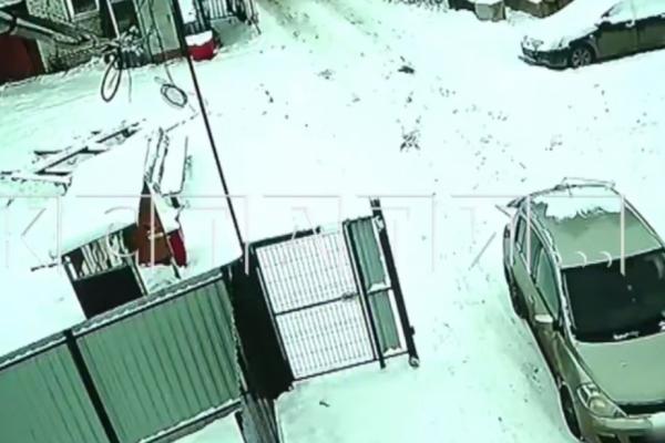 &laquo;Большой начальник&raquo; с травматом избил садоводов в Нижнем Новгороде