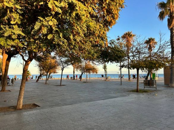 Морские гады, руины и потрясающий климат: вся правда о путешествии Барселона &mdash; Рим - фото 32