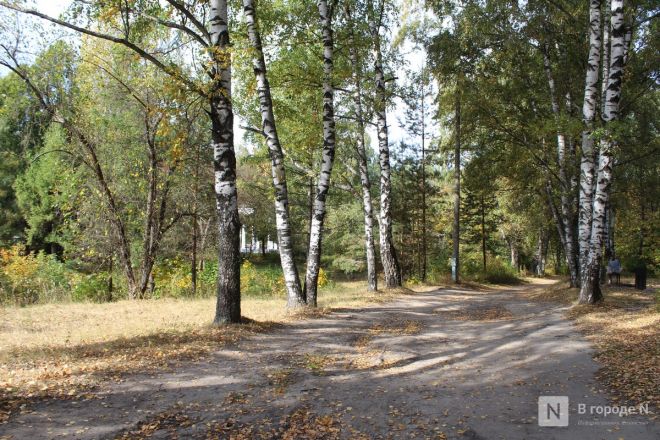 Фоторепортаж: как выглядит Сормовский парк, который ждет масштабная реконструкция - фото 79