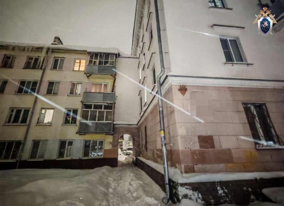 Наледь с крыши дома рухнула на ребенка в Нижнем Новгороде - фото 1