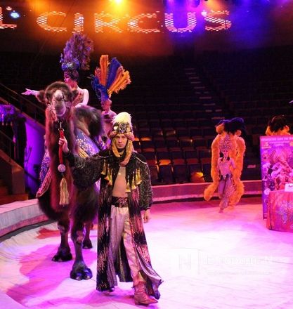 &laquo;Песчаную сказку&raquo; Гии Эрадзе покажут в нижегородском цирке - фото 27