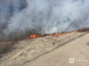 МЧС предупреждает нижегородцев о высокой пожароопасности лесов