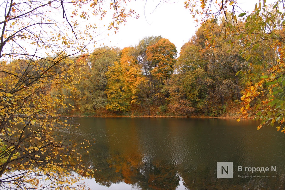 Гидрометцентр дал прогноз на конец сентября в Нижегородской области - фото 1
