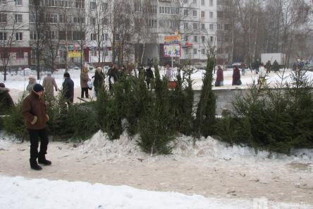 Елочные базары откроются во второй половине декабря в Нижнем Новгороде
