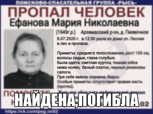 Пропавшая в арзамасском лесу пенсионерка найдена погибшей