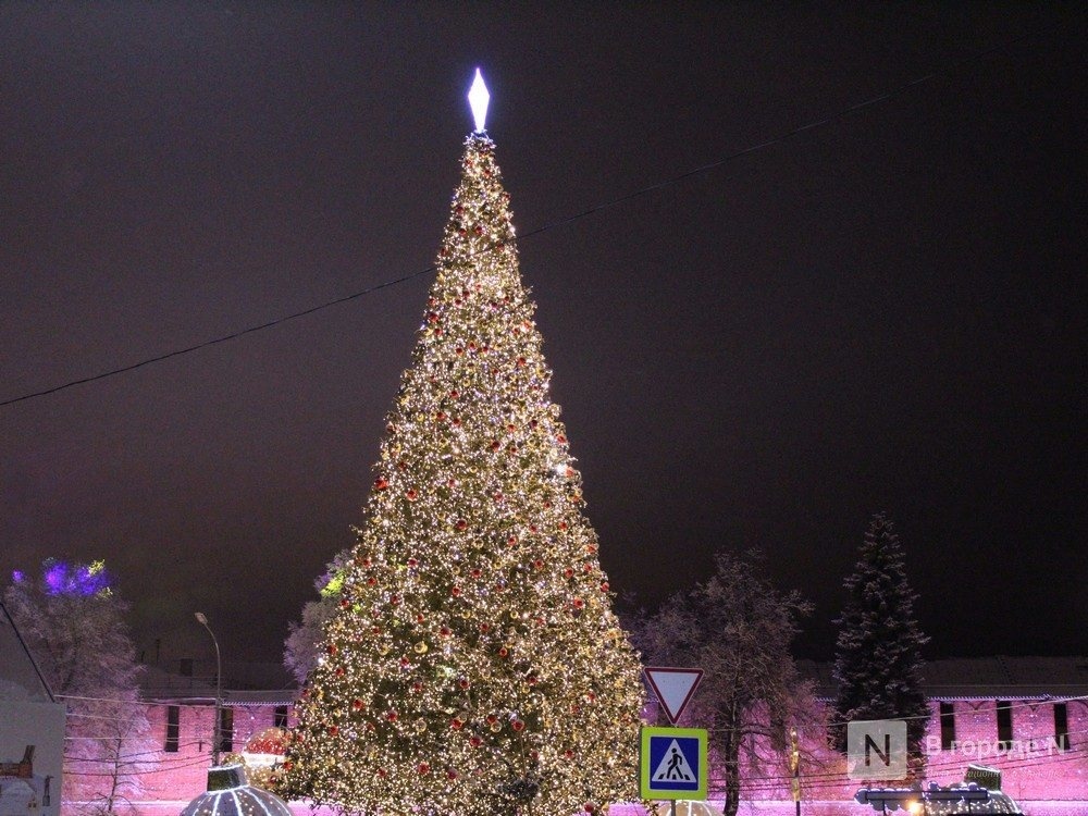 Стало известно, когда установят главную новогоднюю елку в Нижнем Новгороде - фото 1